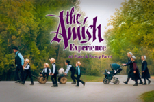 Amish Experience:  Theater, Homestead, & Farm Tours